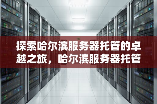 探索哈尔滨服务器托管的卓越之旅，哈尔滨服务器托管公司