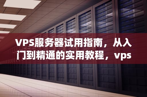 VPS服务器试用指南，从入门到精通的实用教程，vps主机 试用