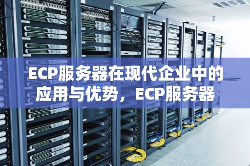 ECP服务器在现代企业中的应用与优势，ECP服务器