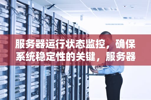 服务器运行状态监控，确保系统稳定性的关键，服务器运行状态监控系统