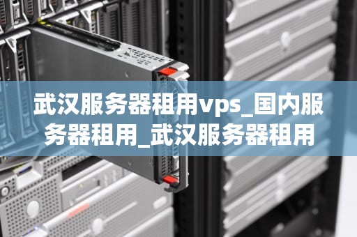 武汉服务器租用vps_国内服务器租用_武汉服务器租用VPS的全面指南