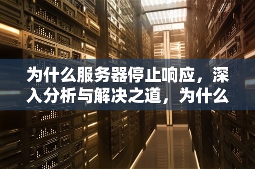 为什么服务器停止响应，深入分析与解决之道，为什么服务器停止响应了