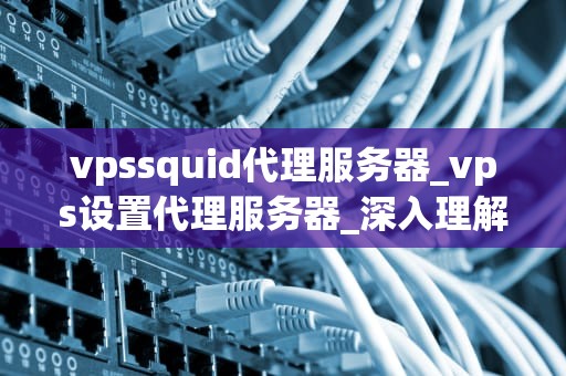 vpssquid代理服务器_vps设置代理服务器_深入理解VPSsquid代理服务器