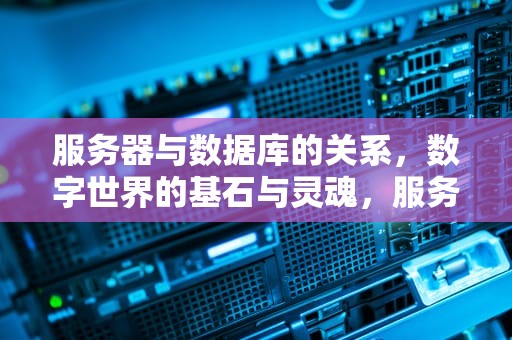 服务器与数据库的关系，数字世界的基石与灵魂，服务器与数据库的关系是什么