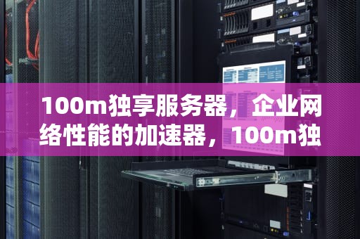 100m独享服务器，企业网络性能的加速器，100m独享云服务器