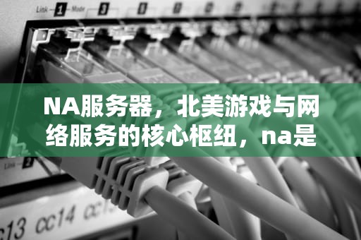 NA服务器，北美游戏与网络服务的核心枢纽，na是哪个服务器的缩写