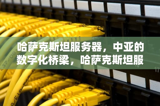 哈萨克斯坦服务器，中亚的数字化桥梁，哈萨克斯坦服务器选择
