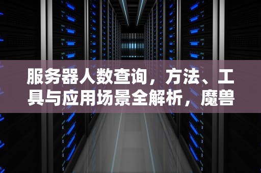 服务器人数查询，方法、工具与应用场景全解析，魔兽怀旧服服务器人数查询