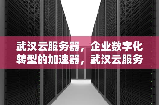 武汉云服务器，企业数字化转型的加速器，武汉云服务器租用