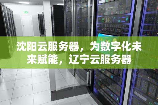 沈阳云服务器，为数字化未来赋能，辽宁云服务器