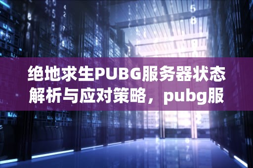 绝地求生PUBG服务器状态解析与应对策略，pubg服务器状态查询