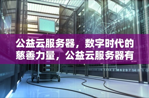 公益云服务器，数字时代的慈善力量，公益云服务器有什么用