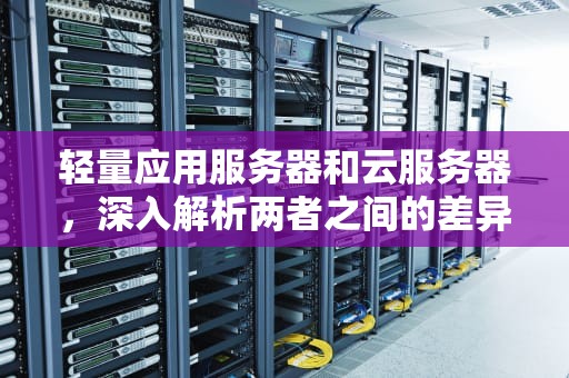 轻量应用服务器和云服务器，深入解析两者之间的差异，轻量应用服务器和云服务器有什么区别