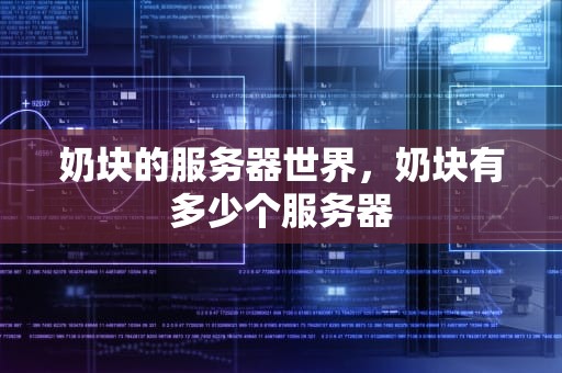 奶块的服务器世界，奶块有多少个服务器