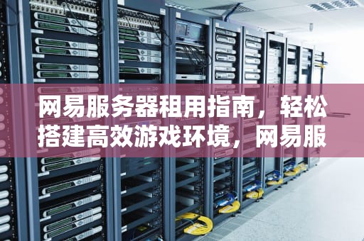 网易服务器租用指南，轻松搭建高效游戏环境，网易服务器租用价格表