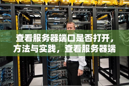 查看服务器端口是否打开，方法与实践，查看服务器端口是否打开的命令
