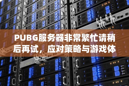 PUBG服务器非常繁忙请稍后再试，应对策略与游戏体验优化指南，pubg服务器非常繁忙请稍后再试怎么回事