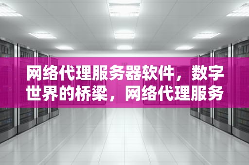 网络代理服务器软件，数字世界的桥梁，网络代理服务器软件有哪些