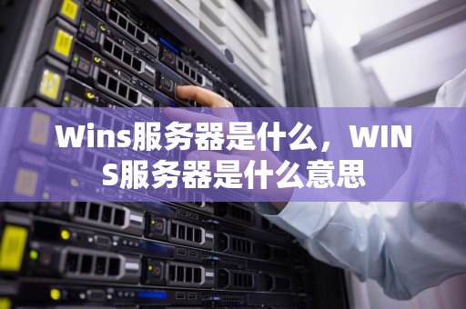 Wins服务器是什么，WINS服务器是什么意思