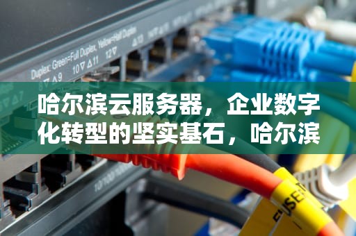 哈尔滨云服务器，企业数字化转型的坚实基石，哈尔滨云数据