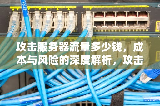 攻击服务器流量多少钱，成本与风险的深度解析，攻击服务器流量多少钱一个