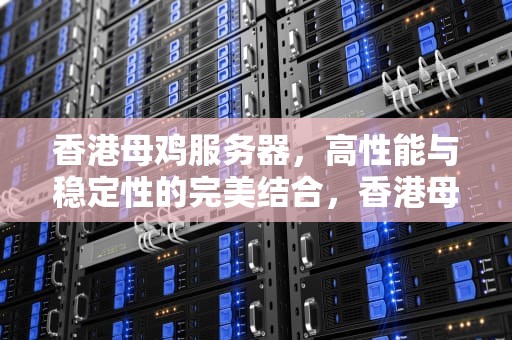 香港母鸡服务器，高性能与稳定性的完美结合，香港母机服务器