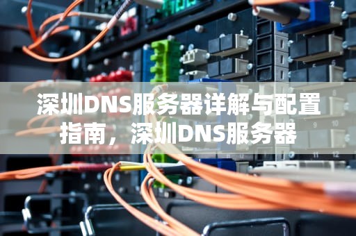 深圳DNS服务器详解与配置指南，深圳DNS服务器