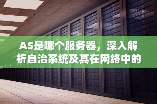 AS是哪个服务器，深入解析自治系统及其在网络中的角色，as是哪个服务器的缩写