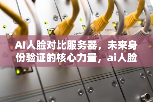 AI人脸对比服务器，未来身份验证的核心力量，ai人脸对比服务器软件