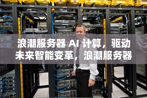 浪潮服务器 AI 计算，驱动未来智能变革，浪潮服务器 ai计算软件