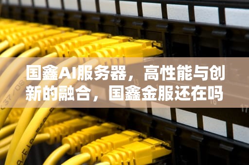 国鑫AI服务器，高性能与创新的融合，国鑫金服还在吗