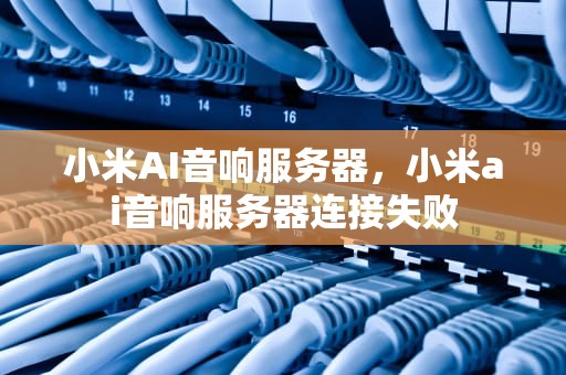小米AI音响服务器，小米ai音响服务器连接失败