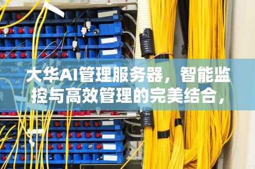 大华AI管理服务器，智能监控与高效管理的完美结合，大华ai管理服务器怎么用