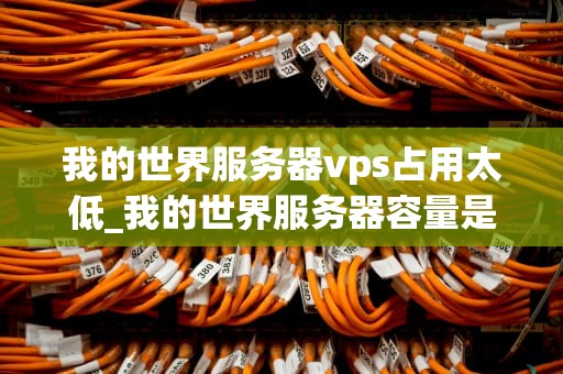 我的世界服务器vps占用太低_我的世界服务器容量是什么意思_优化我的世界服务器VPS占用率的策略