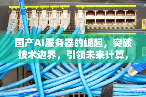 国产AI服务器的崛起，突破技术边界，引领未来计算，ai服务器的生产厂商
