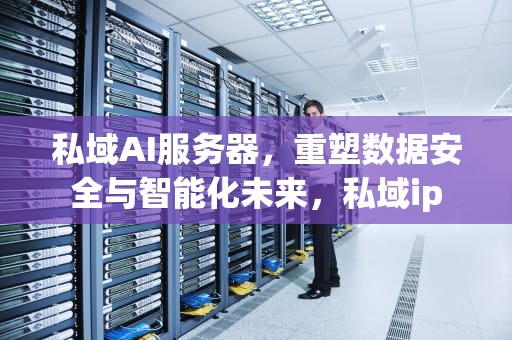 私域AI服务器，重塑数据安全与智能化未来，私域ip