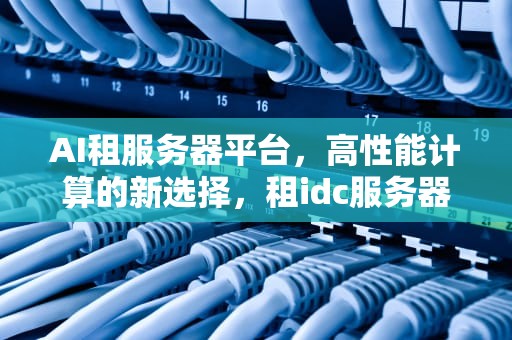 AI租服务器平台，高性能计算的新选择，租idc服务器
