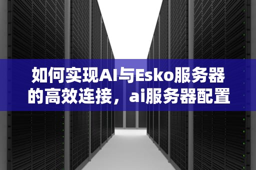 如何实现AI与Esko服务器的高效连接，ai服务器配置