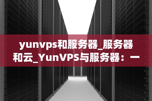 yunvps和服务器_服务器和云_YunVPS与服务器：一场技术革新的深度剖析
