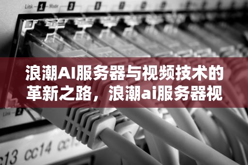 浪潮AI服务器与视频技术的革新之路，浪潮ai服务器视频教程