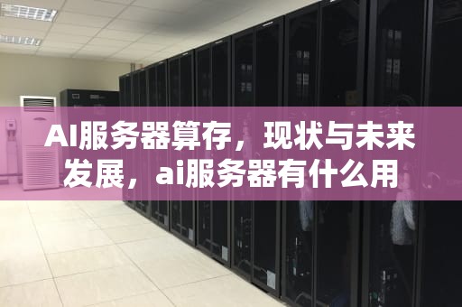 AI服务器算存，现状与未来发展，ai服务器有什么用