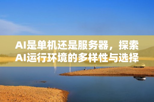 AI是单机还是服务器，探索AI运行环境的多样性与选择，ai是单机还是服务器的