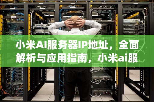 小米AI服务器IP地址，全面解析与应用指南，小米ai服务器ip地址查询
