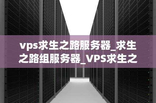 vps求生之路服务器_求生之路组服务器_VPS求生之路服务器的探索与实践