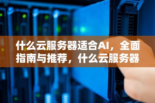 什么云服务器适合AI，全面指南与推荐，什么云服务器适合看视频知乎