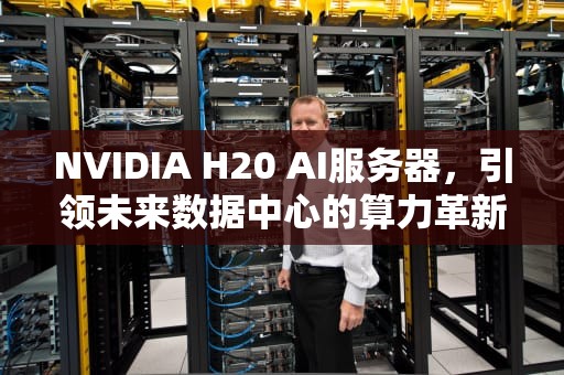 NVIDIA H20 AI服务器，引领未来数据中心的算力革新，h22h-03服务器配置