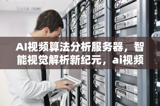 AI视频算法分析服务器，智能视觉解析新纪元，ai视频算法分析服务器是什么
