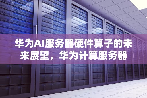 华为AI服务器硬件算子的未来展望，华为计算服务器