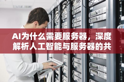 AI为什么需要服务器，深度解析人工智能与服务器的共生关系，ai为什么需要服务器连接