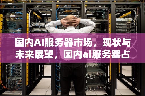 国内AI服务器市场，现状与未来展望，国内ai服务器占比排名